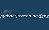 python中encoding什么意思